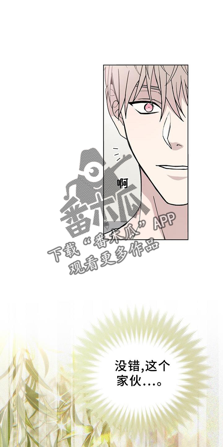 第16章：奇怪8