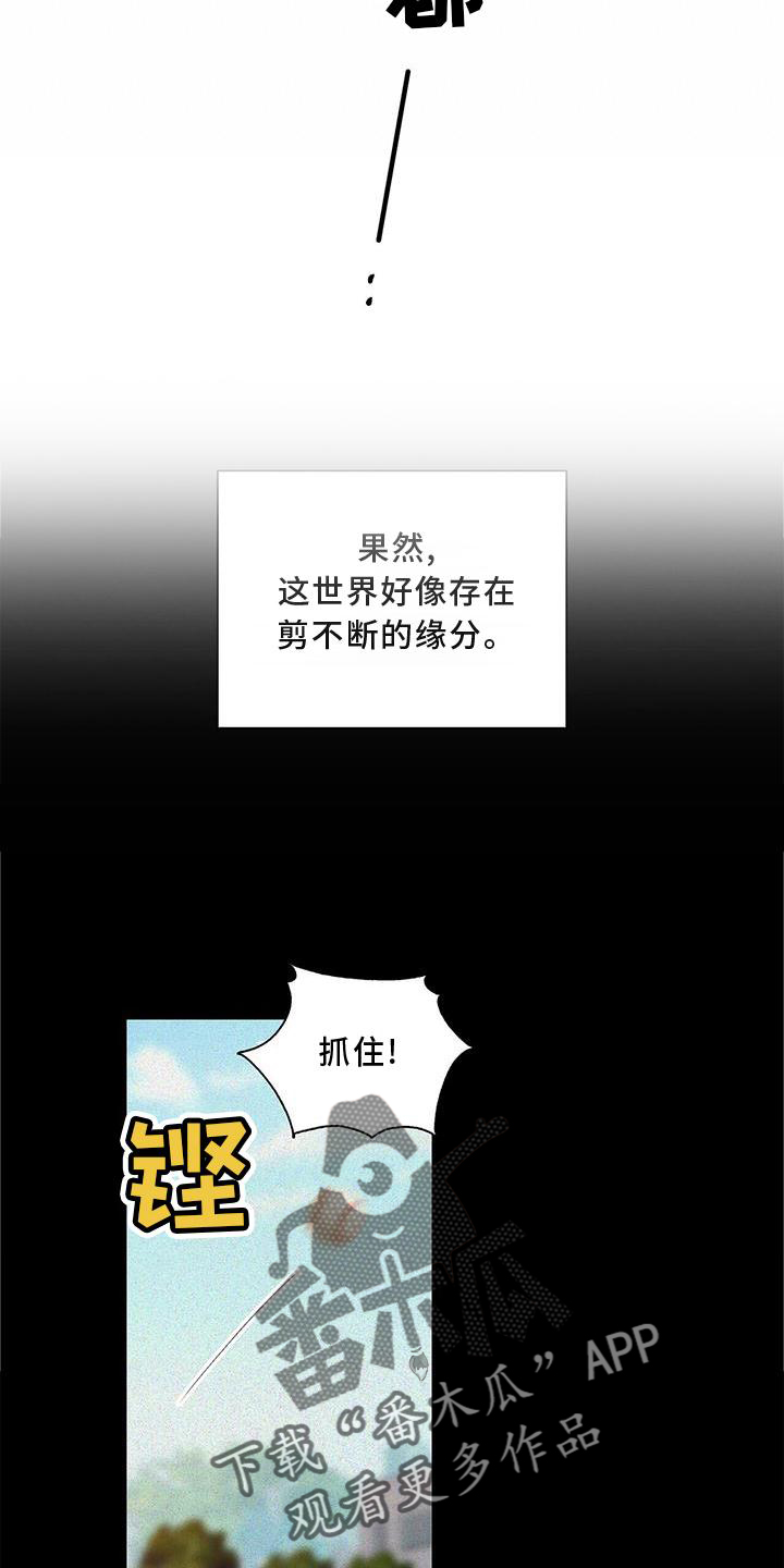 第24章：提醒15