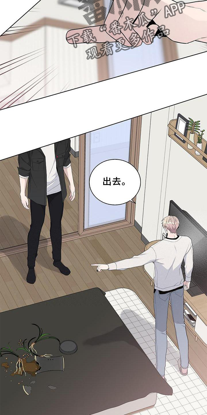 第33章：耀眼2