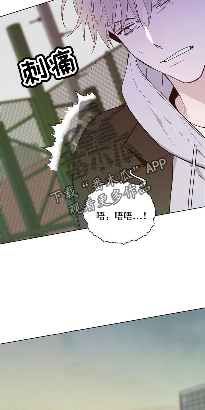 第35章：你骗人7