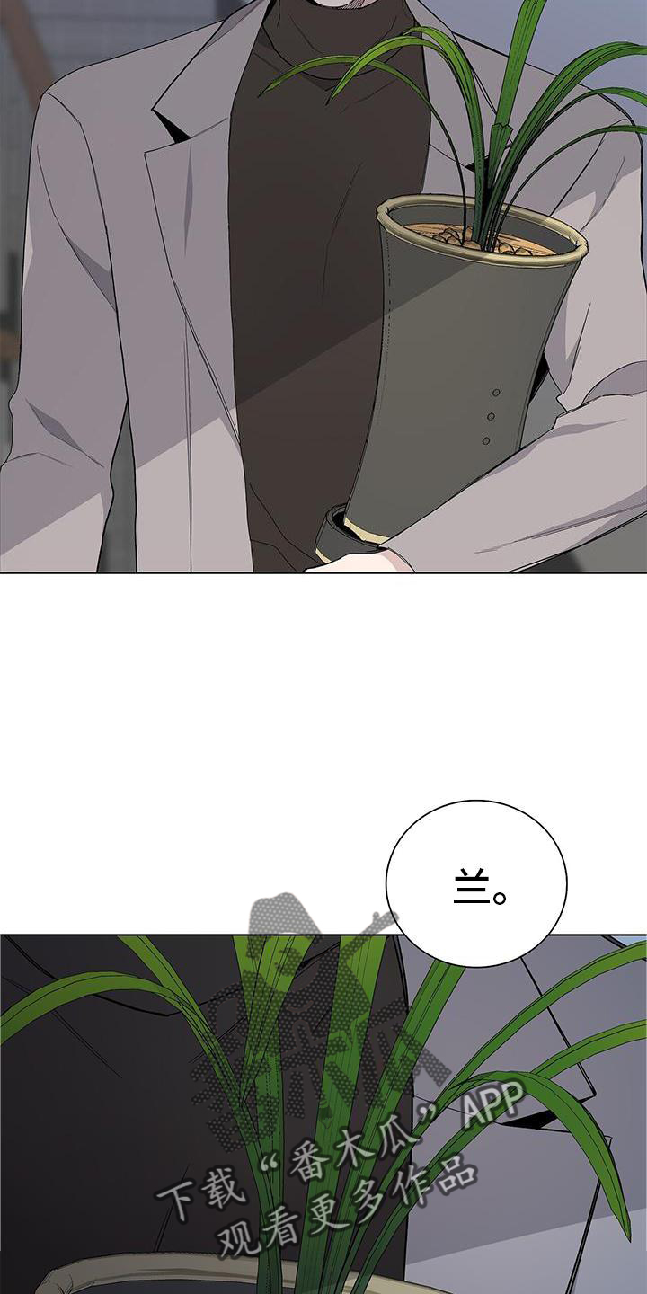 第26章：盆栽16
