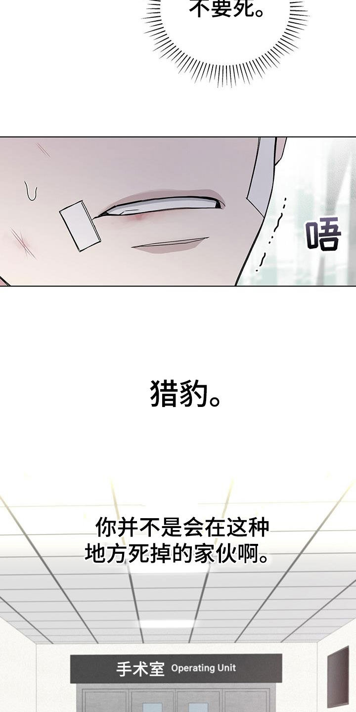 第53章：车祸25