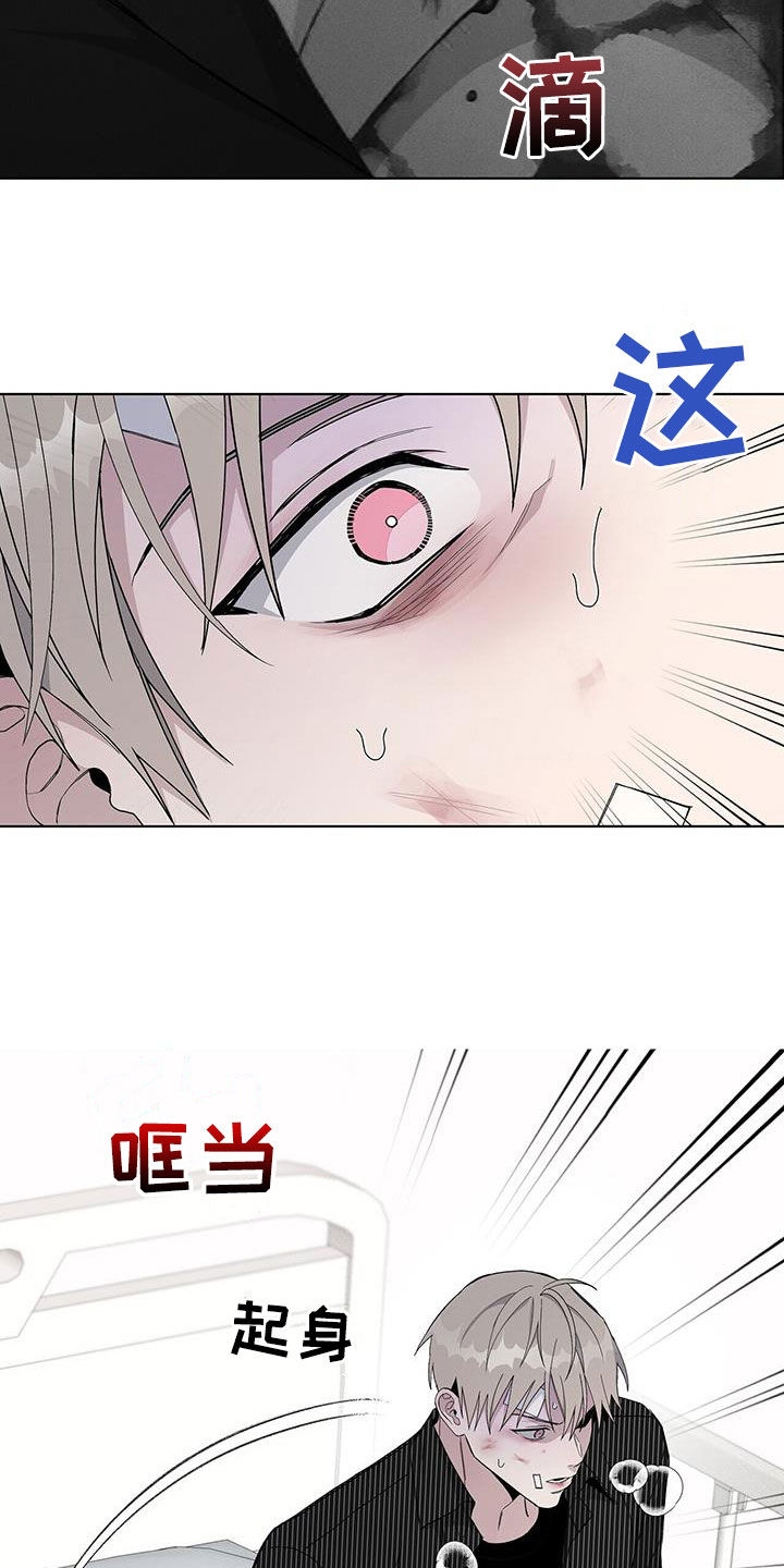 第54章：不是偶然19