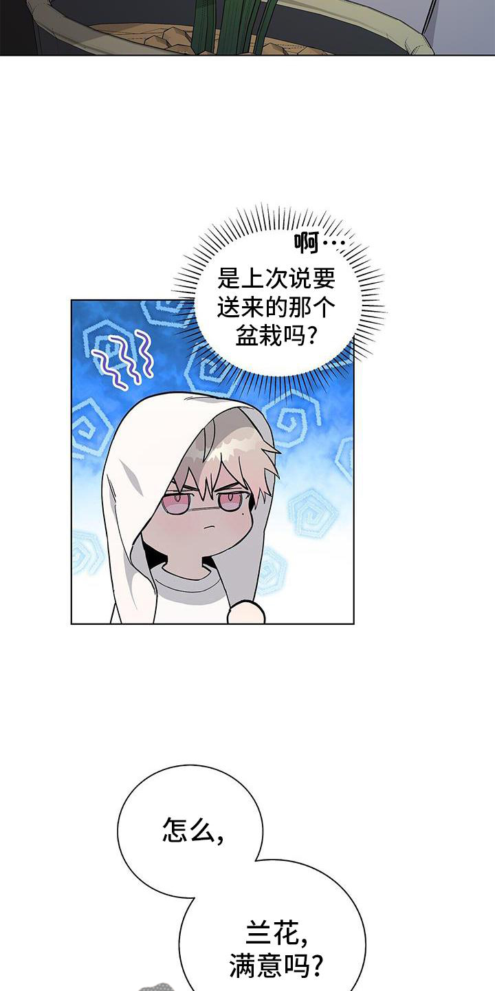 第26章：盆栽17