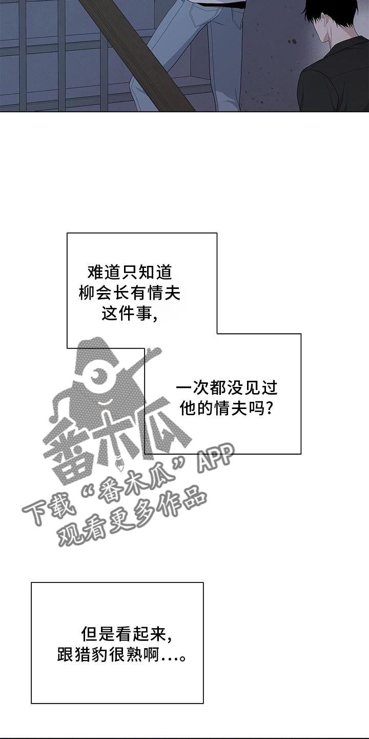 第32章：伪装13