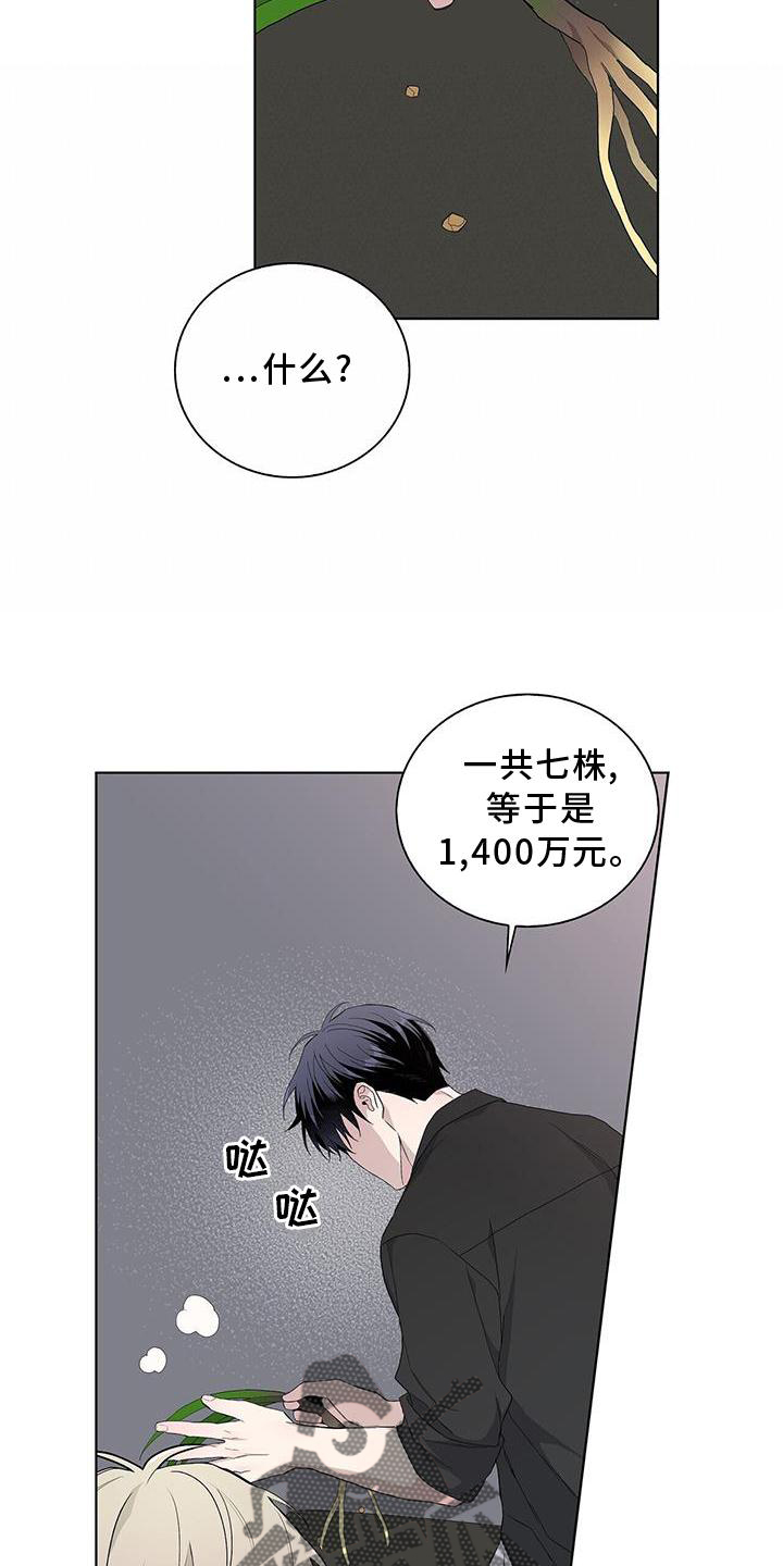 第33章：耀眼10