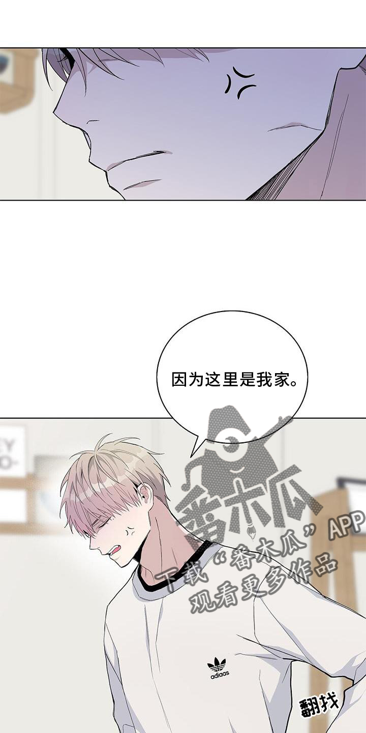 第33章：耀眼5
