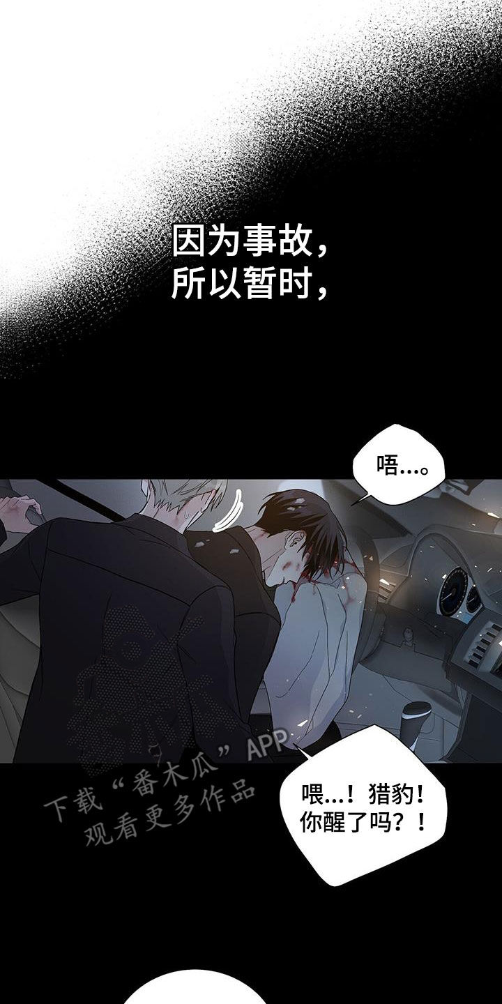 第55章：失忆10
