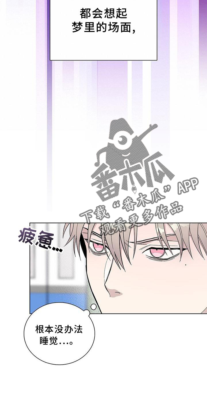 第16章：奇怪19