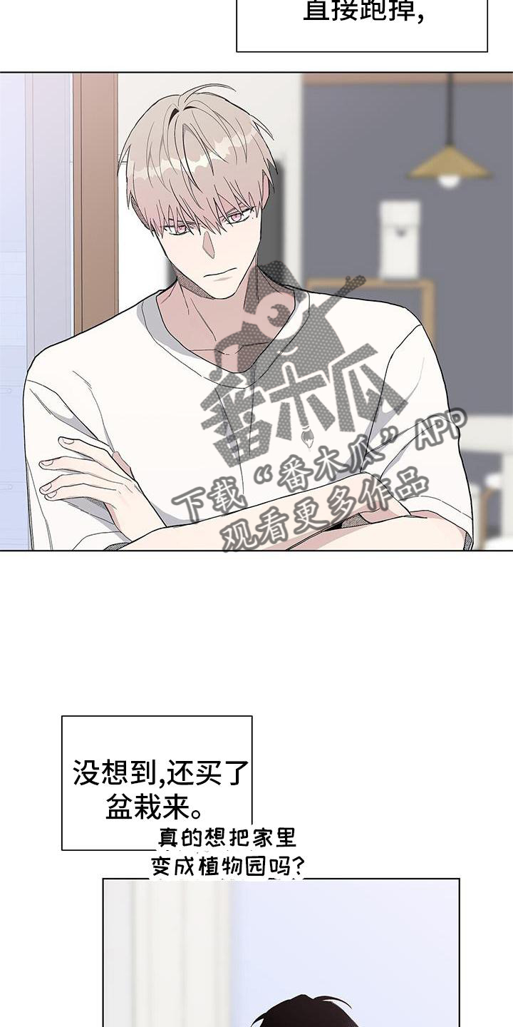 第26章：盆栽22