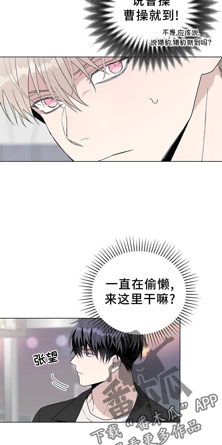 第31章：认识8