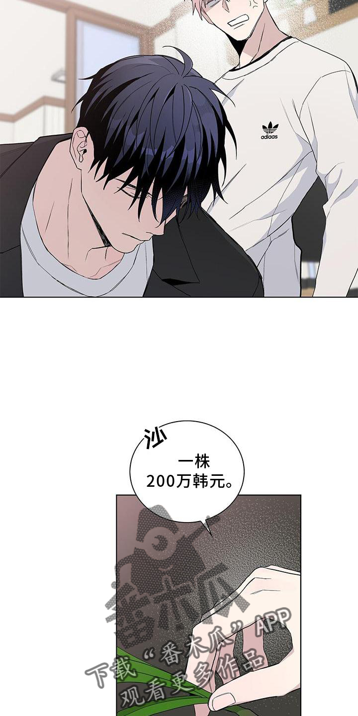 第33章：耀眼9
