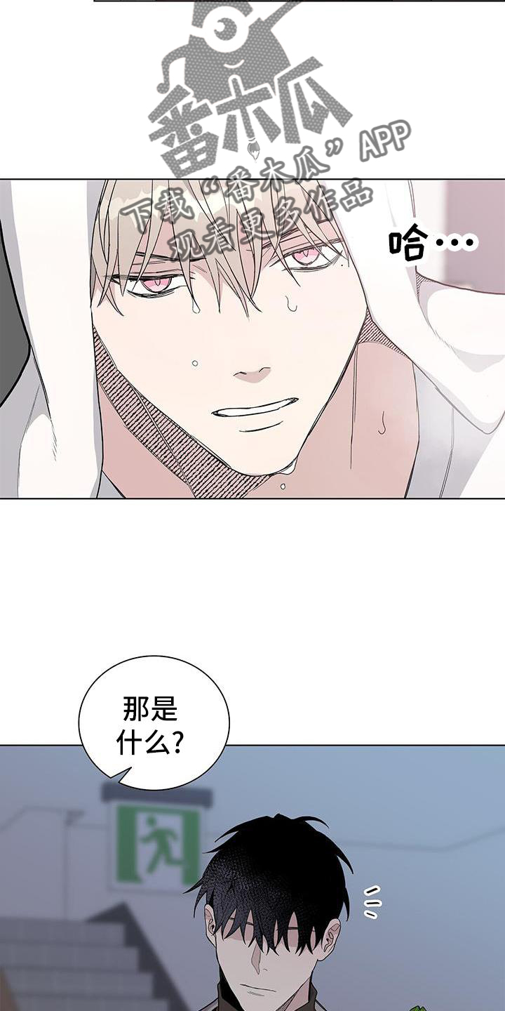 第26章：盆栽15