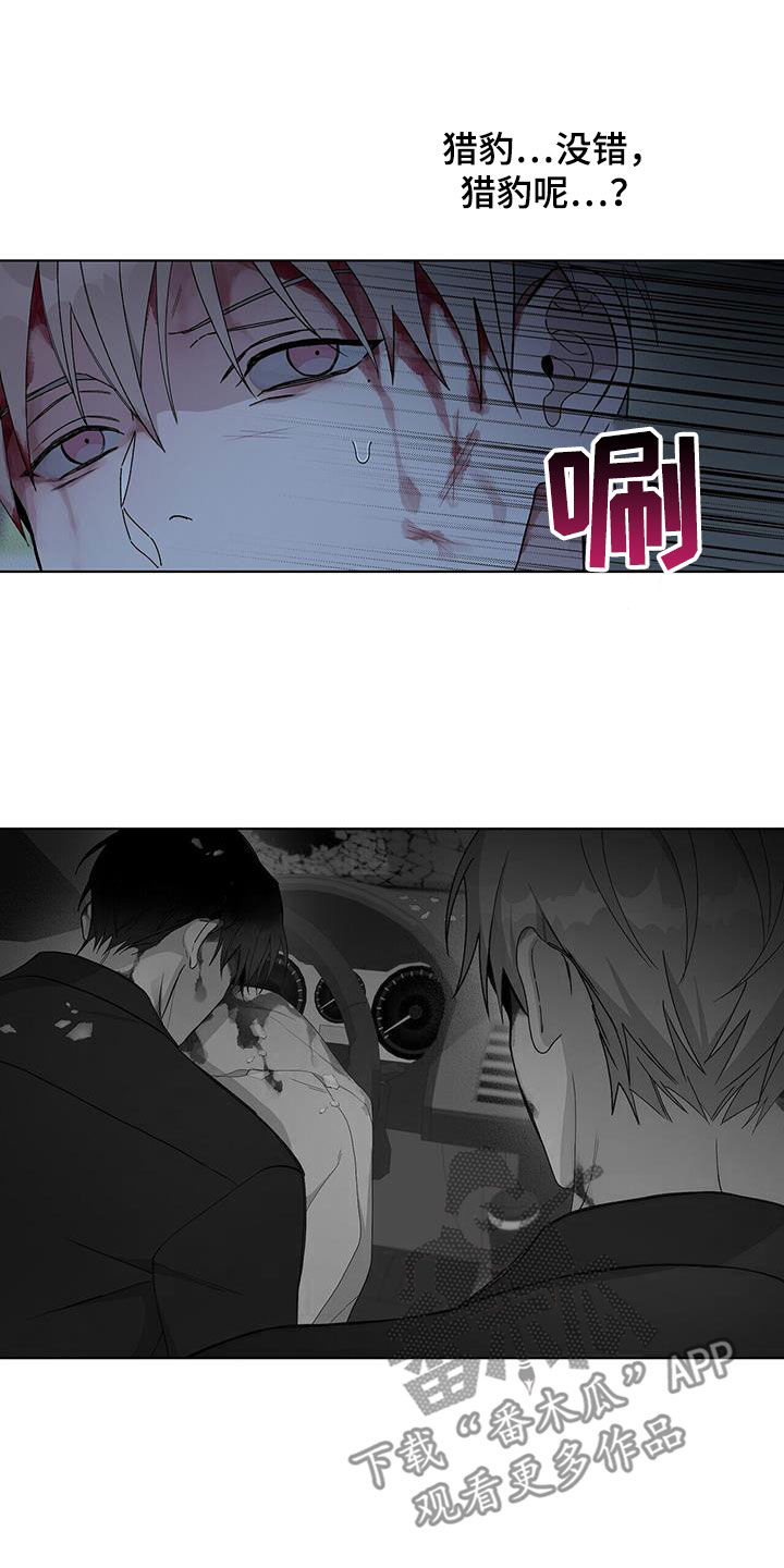 第53章：车祸15