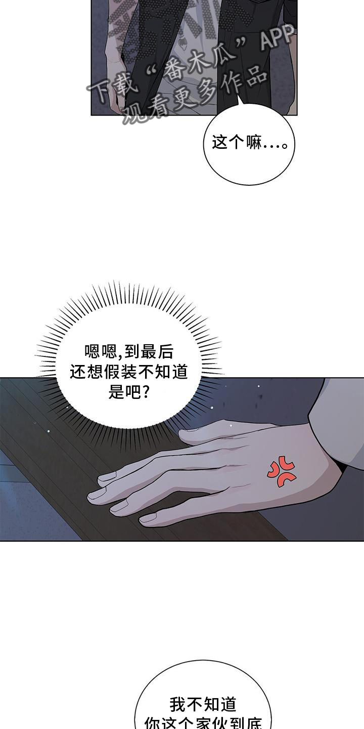 第32章：伪装15