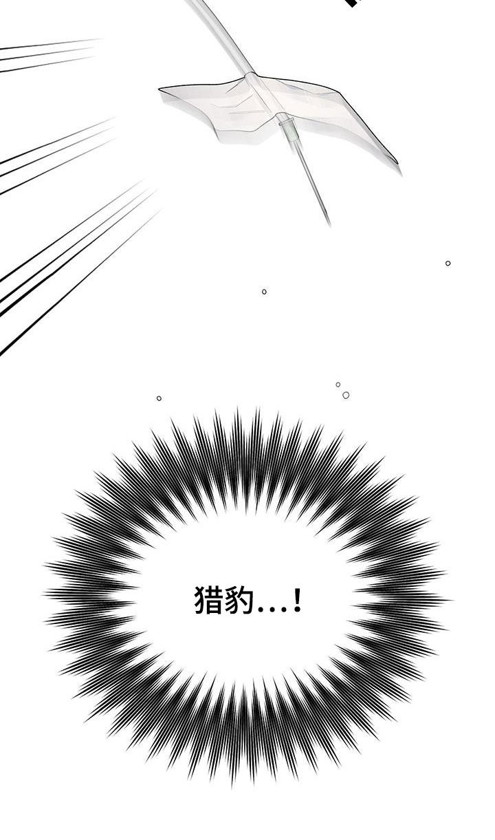 第54章：不是偶然22