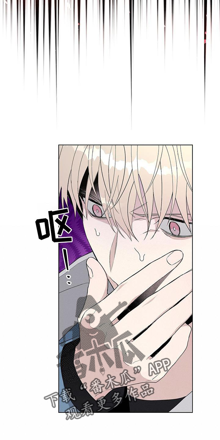 第23章：顾及11