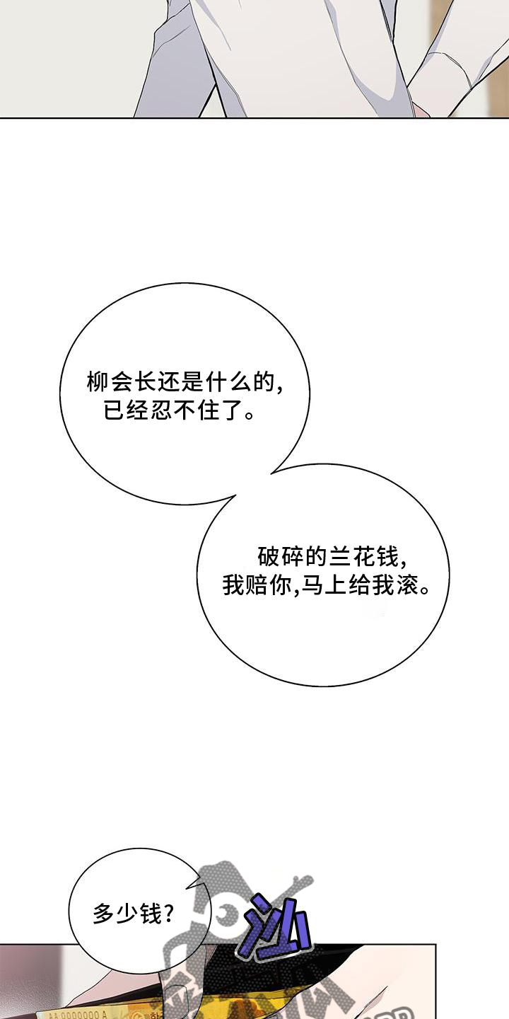第33章：耀眼6