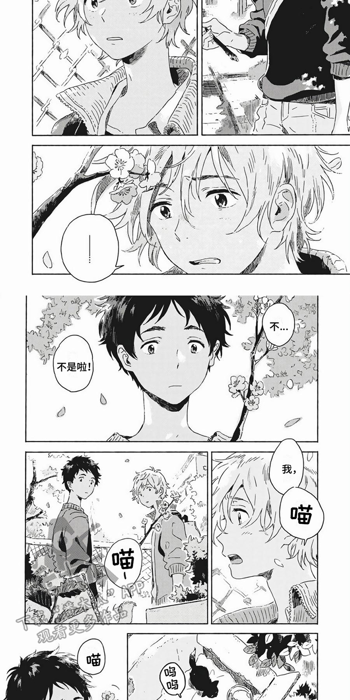 第19章：养猫1