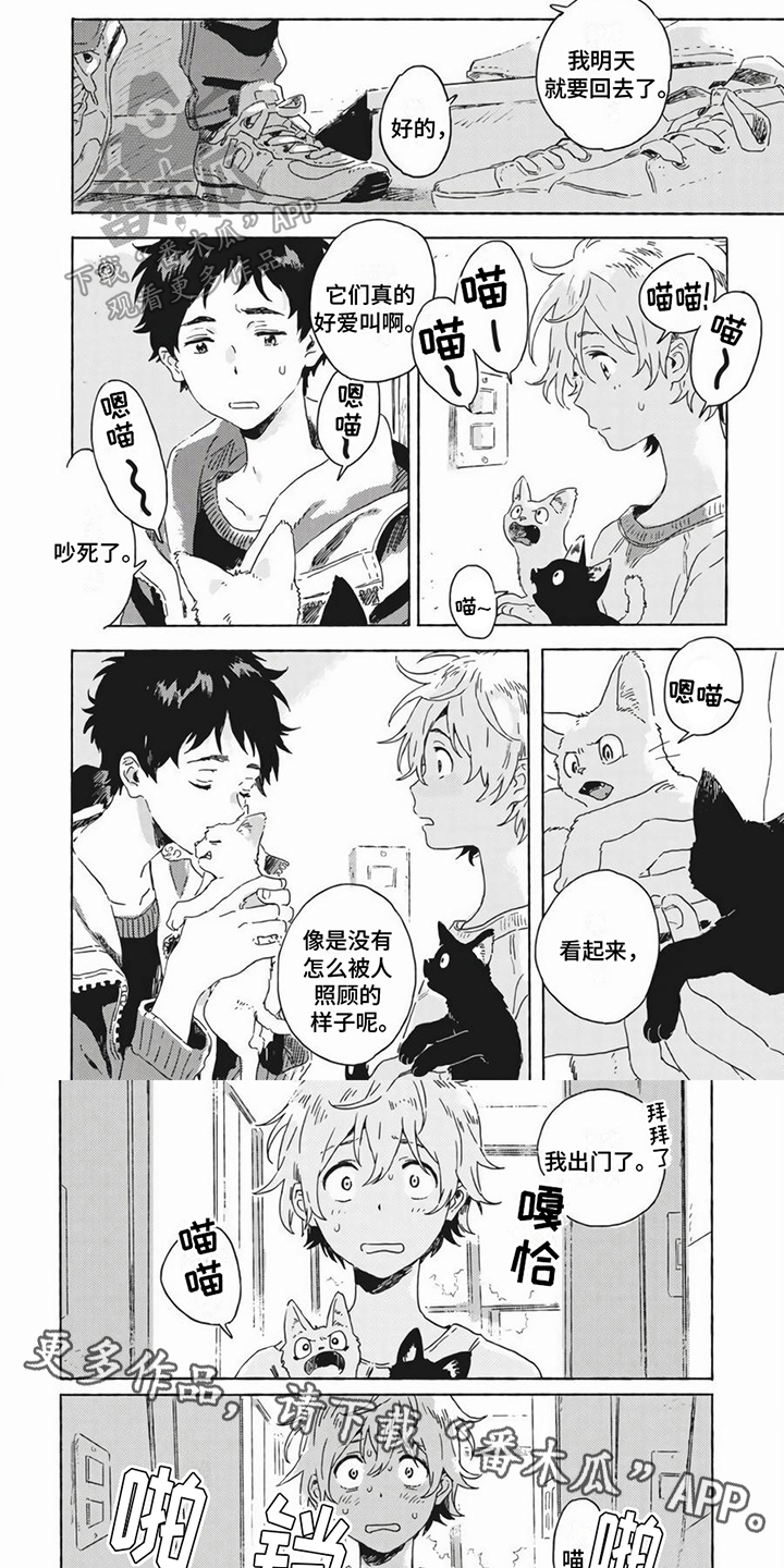 第19章：养猫5