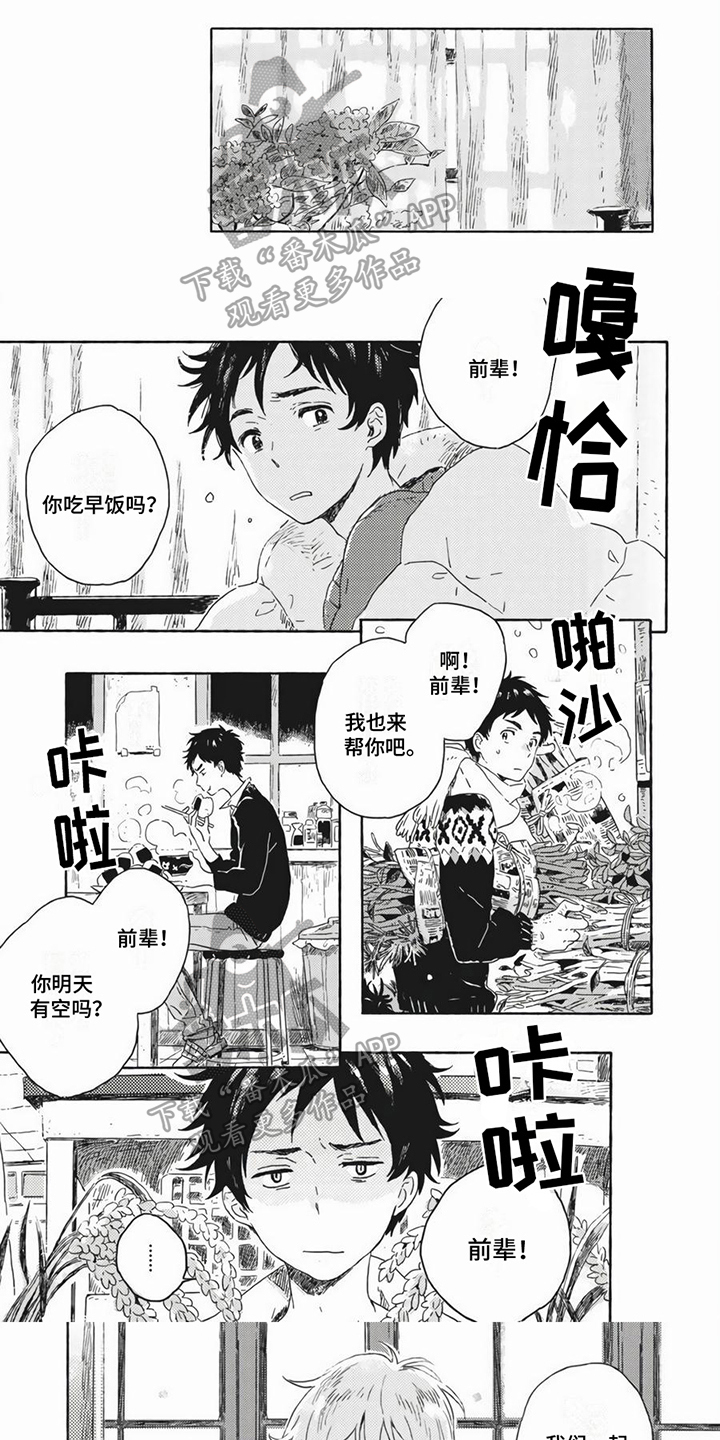 第8章：相似0