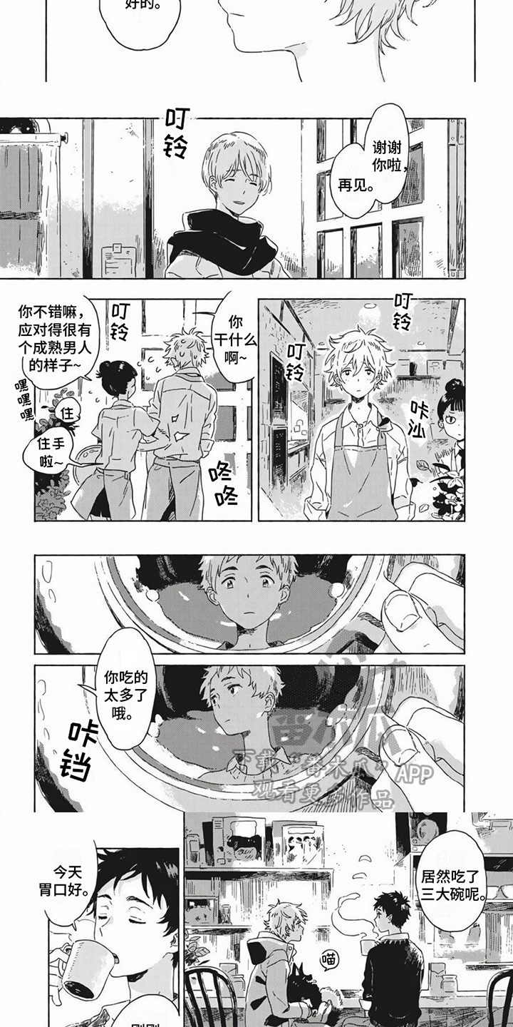 第17章：令人期待1