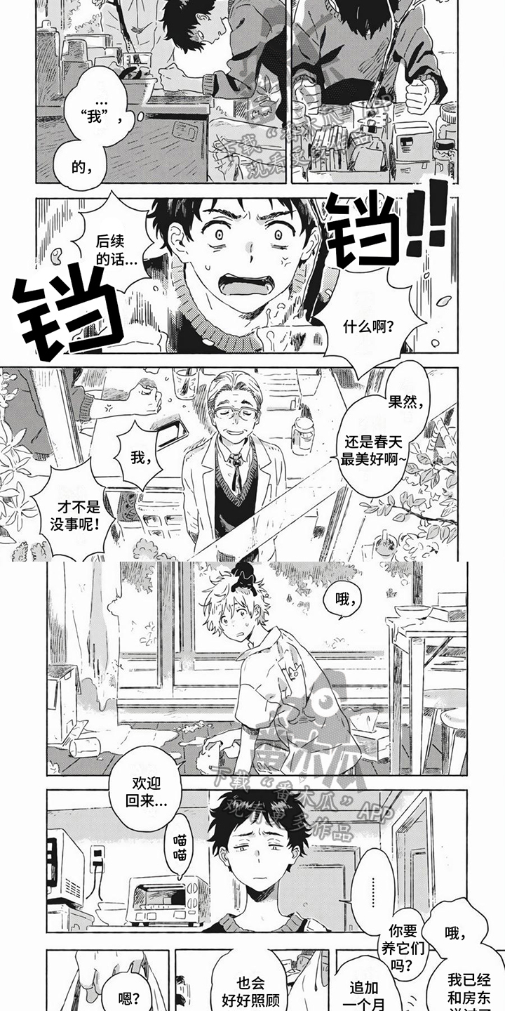 第19章：养猫3