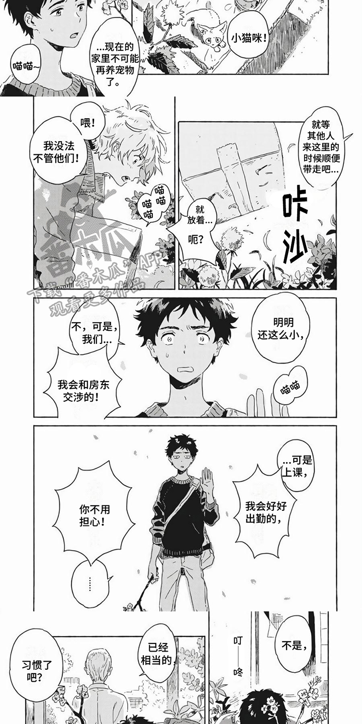 第19章：养猫2