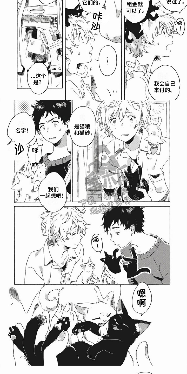 第19章：养猫4
