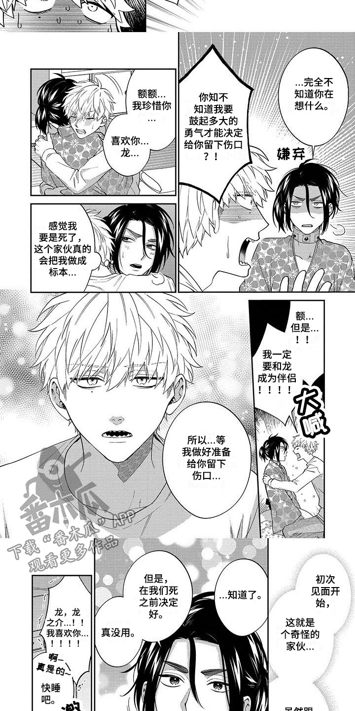 第21章：惊喜1