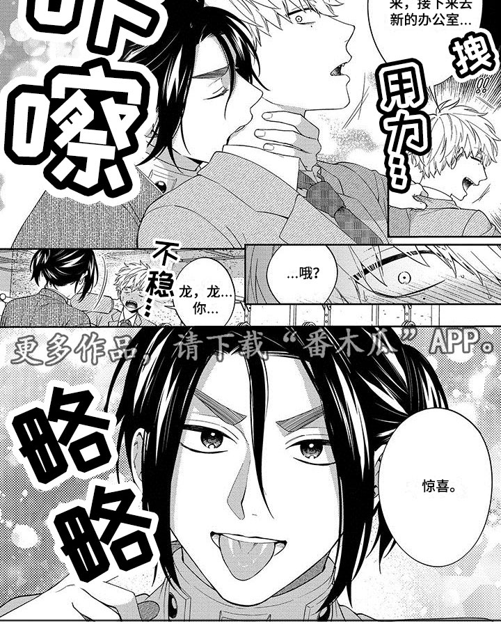 第21章：惊喜4