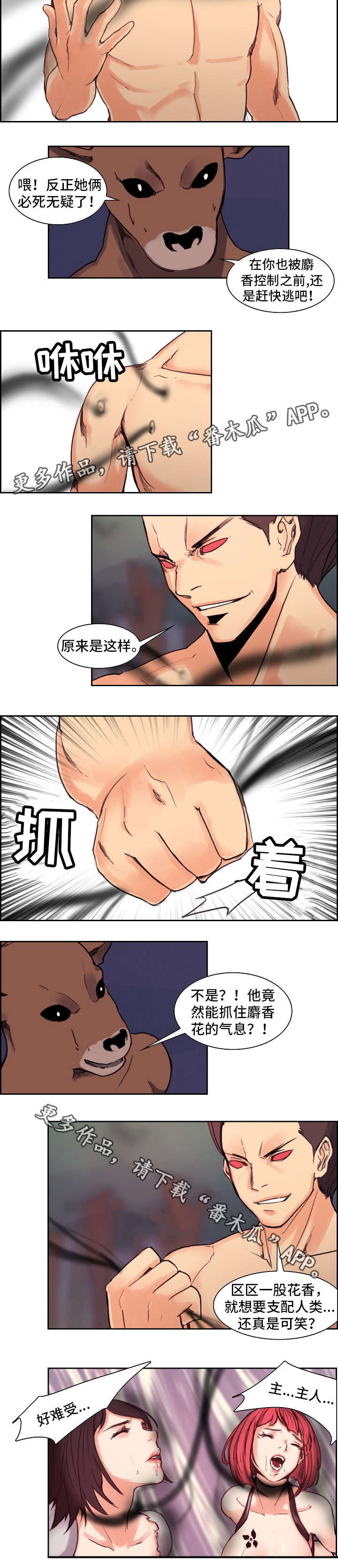 第16章：麝香花4