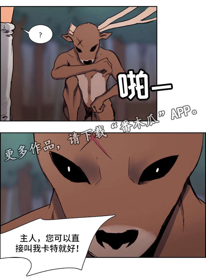 第18章：新的伙伴2