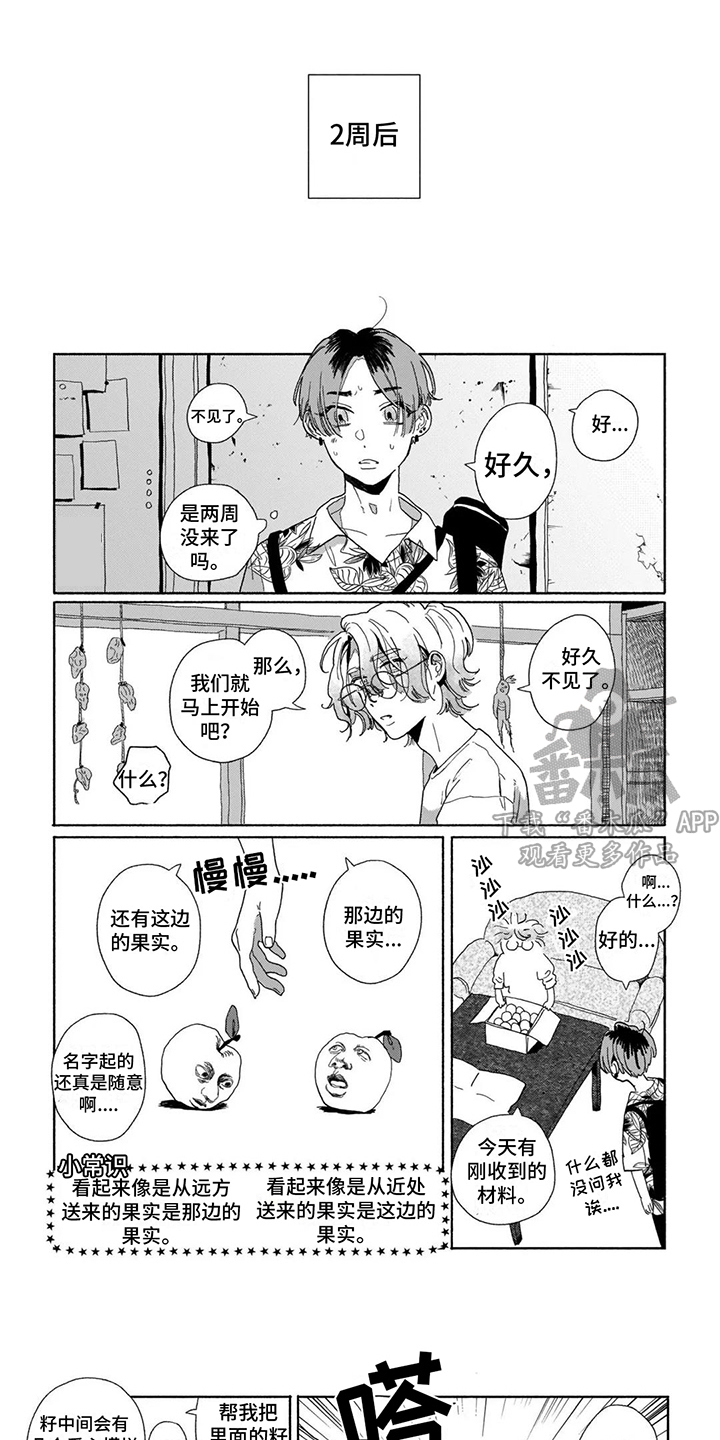 第12章：撒谎 0