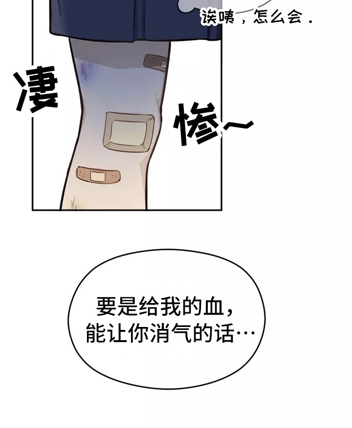 第4章：条件11