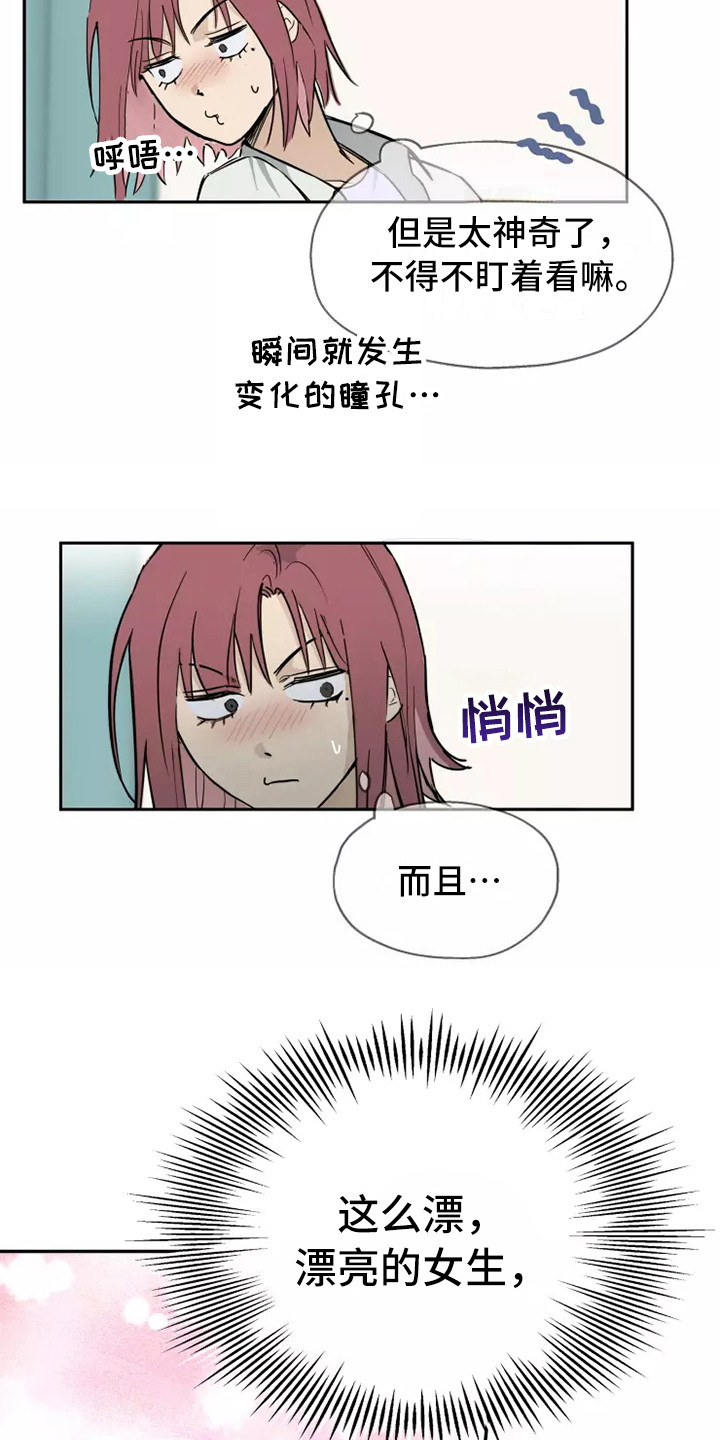 第5章：看呆了11