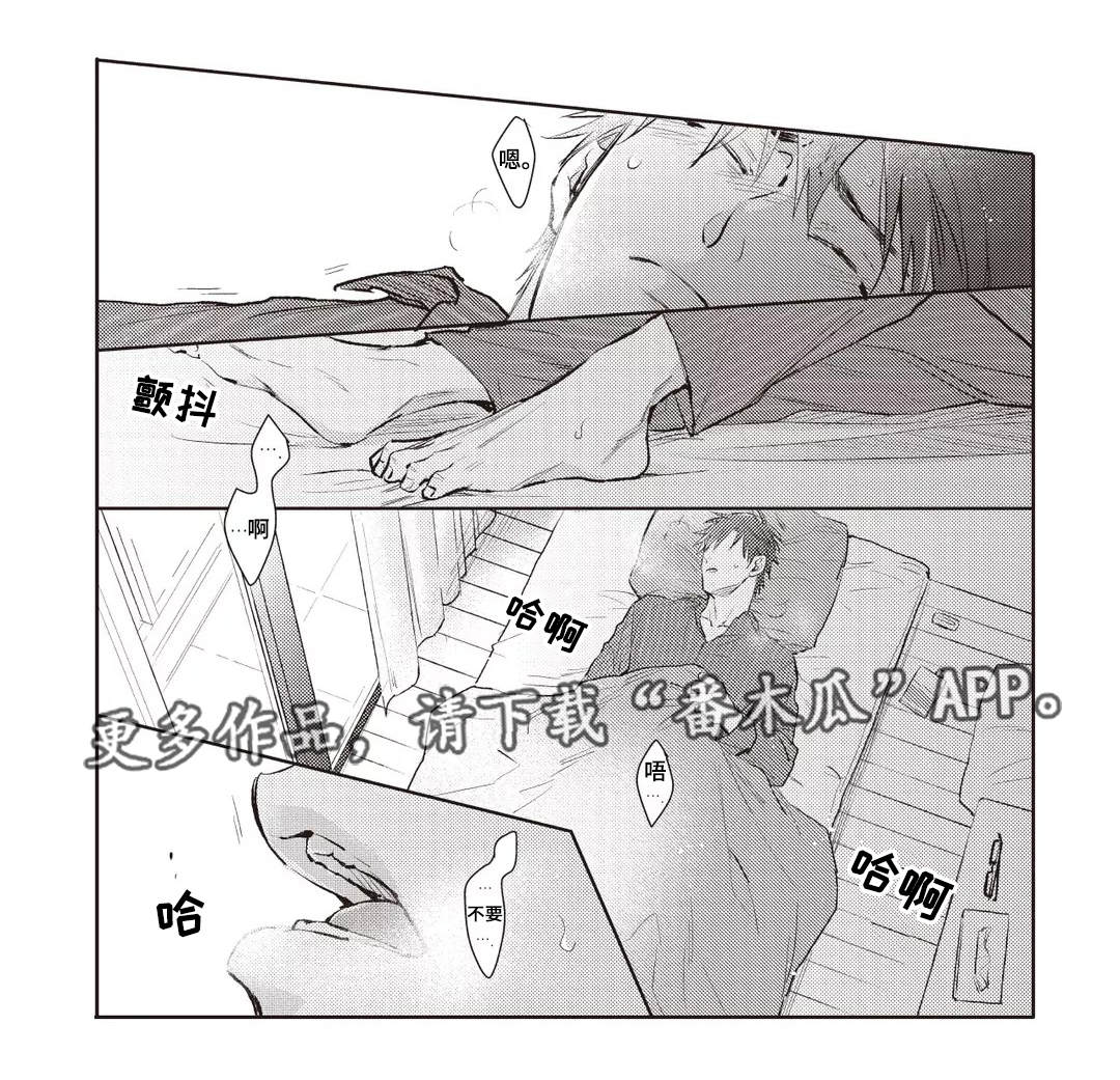第29章：条件16