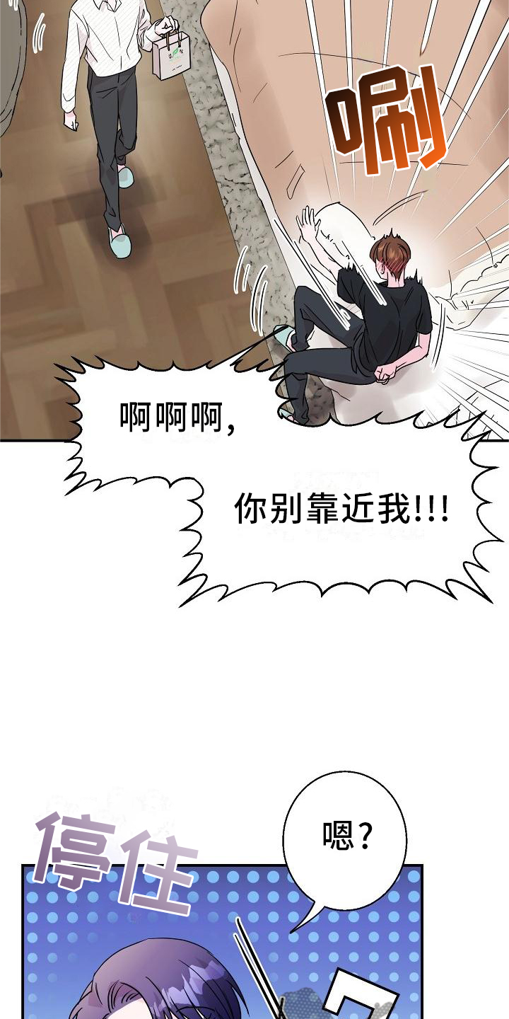 第17章：我帮你5