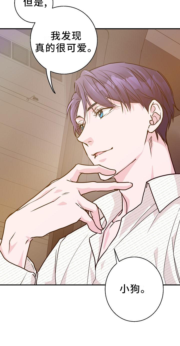 第16章：小狗8