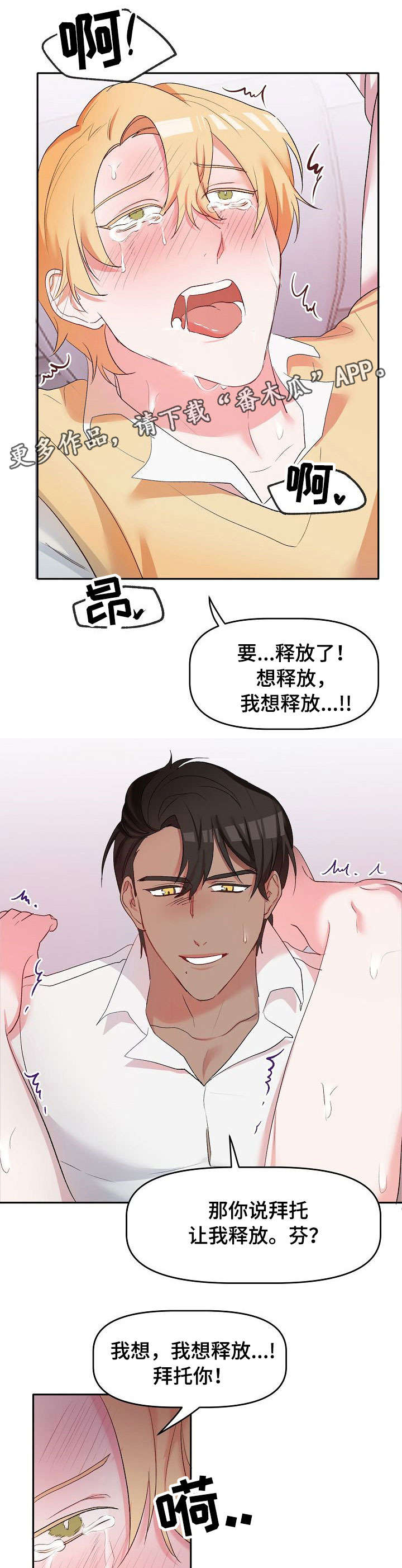 第15章：任务5