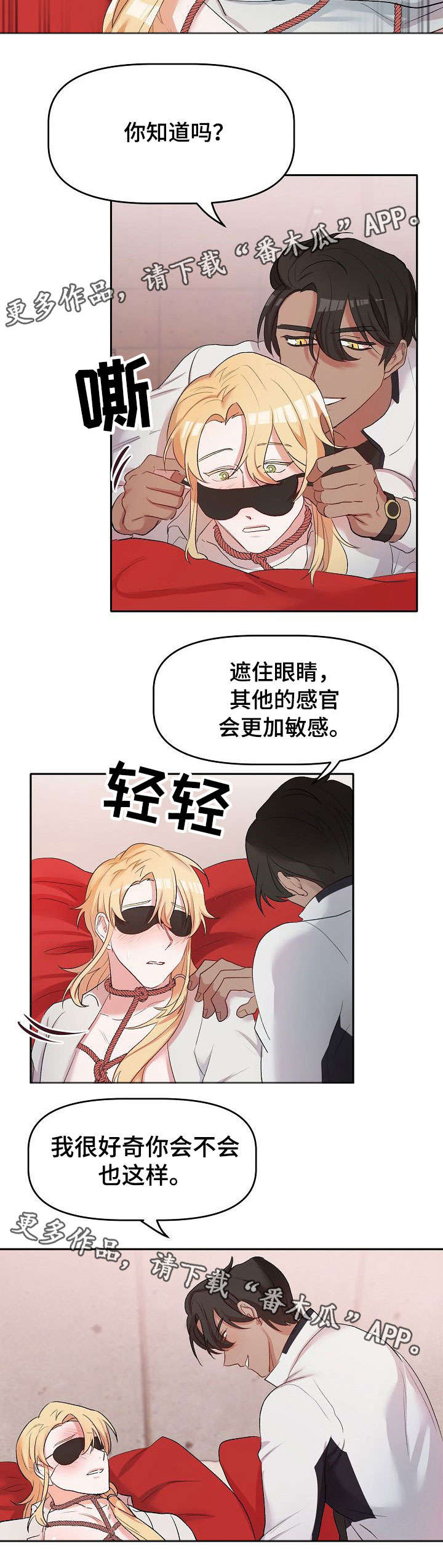 第10章：遮眼11