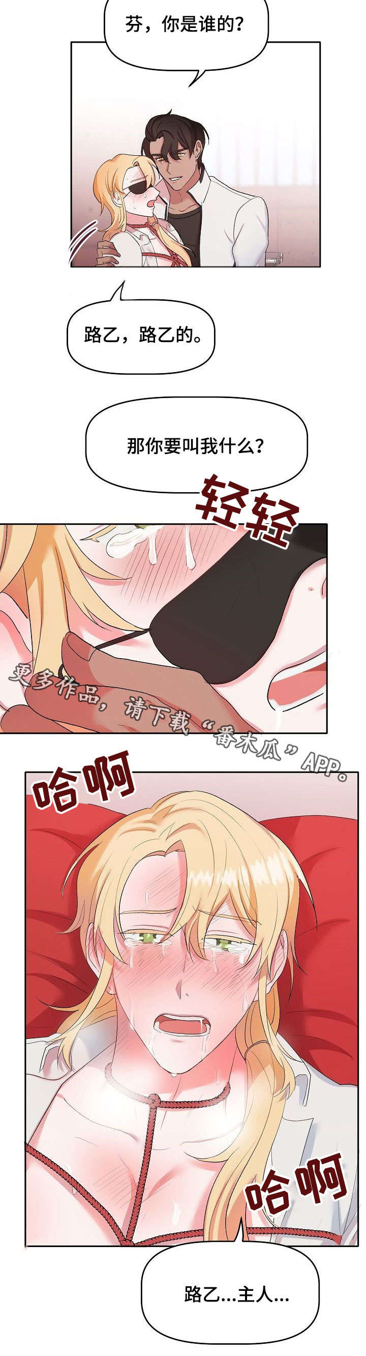 第11章：逛逛4