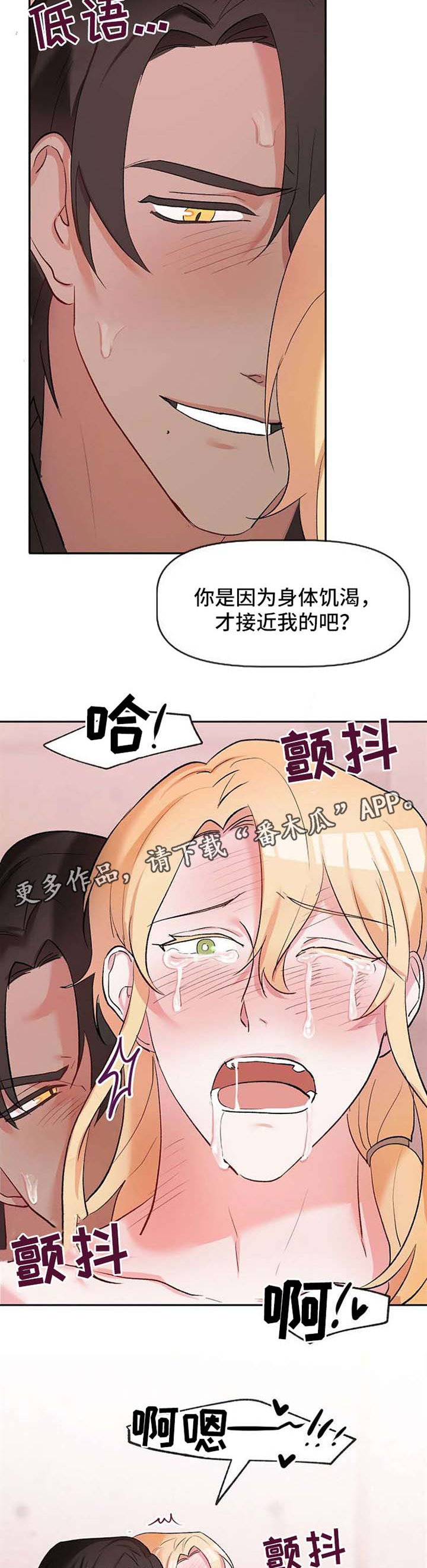 第27章：再次遇见2