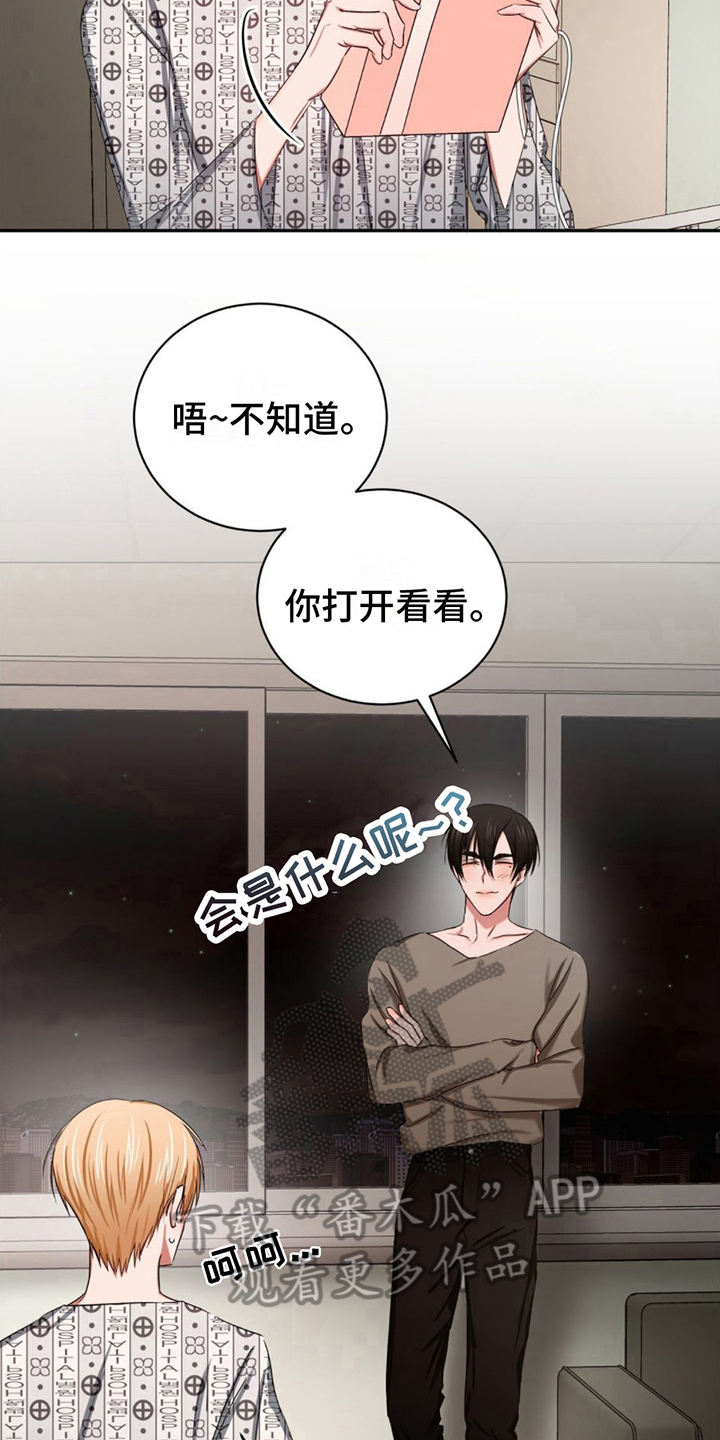 第19章：安心3