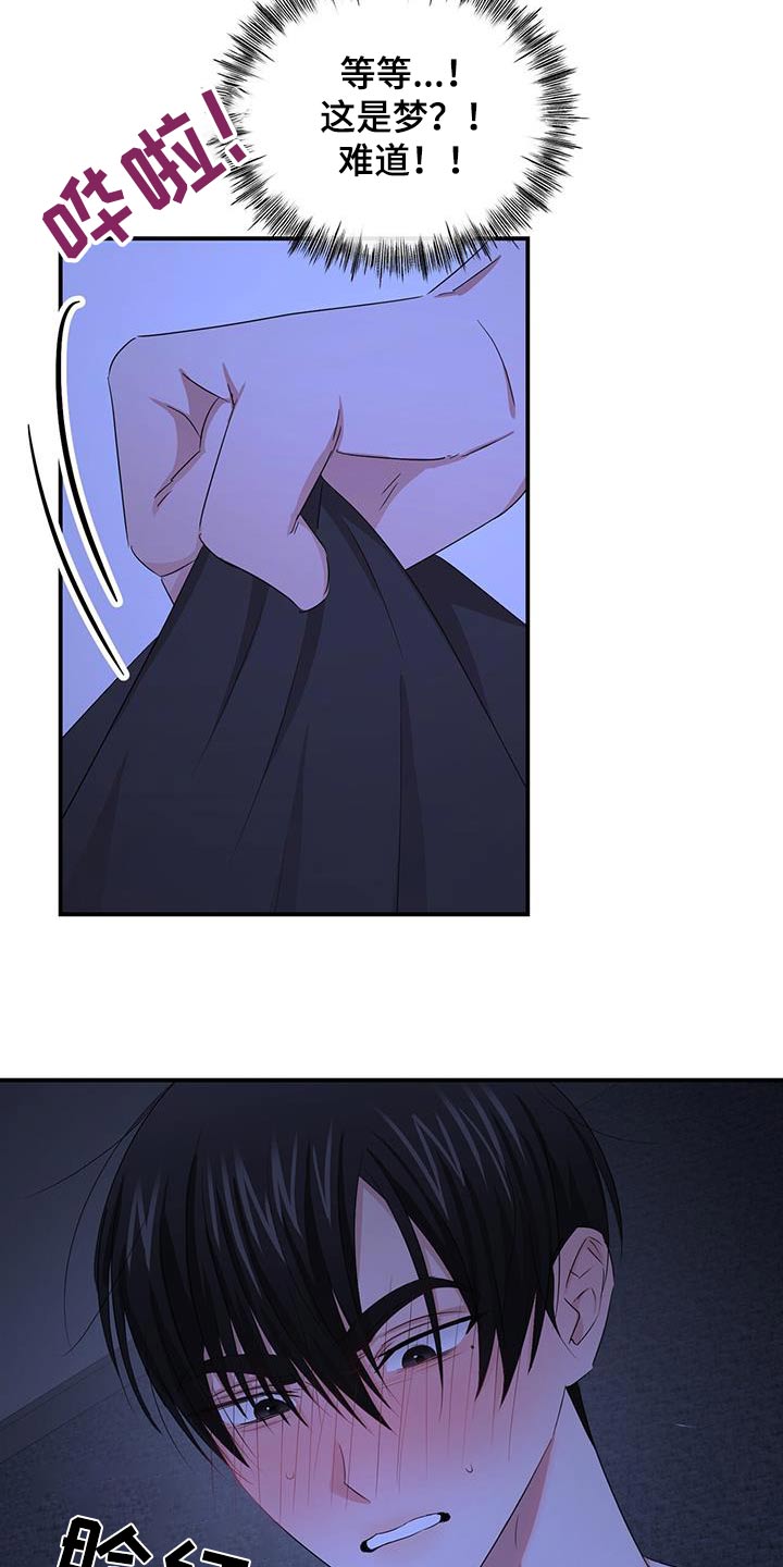 第38章：是梦15