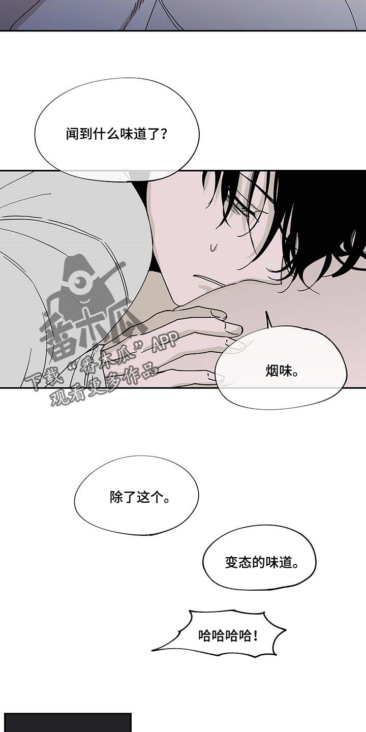 第19章：味道10