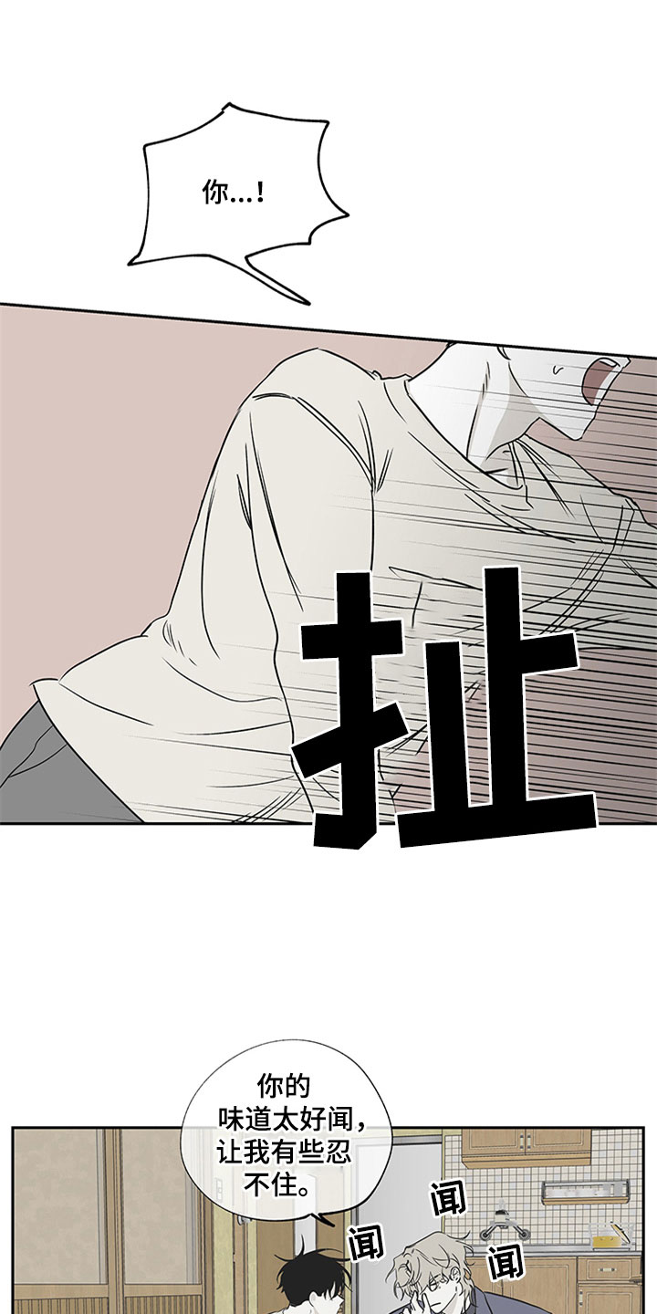 第10章： 欺诈13