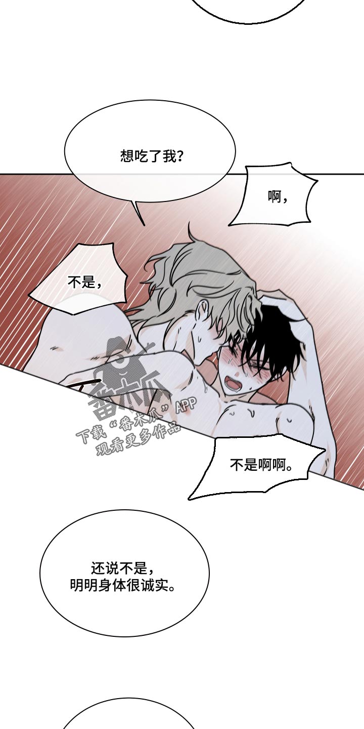 第53章：时机4