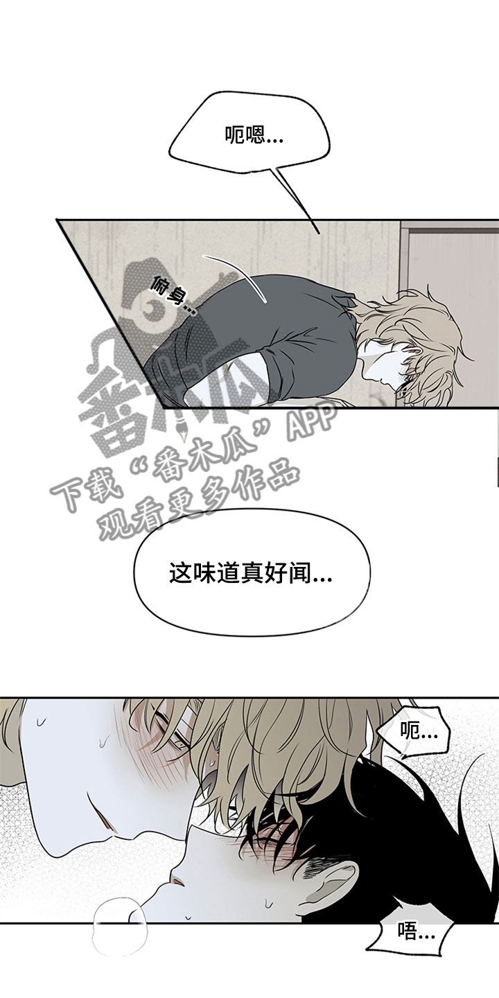 第5章：容身之所3