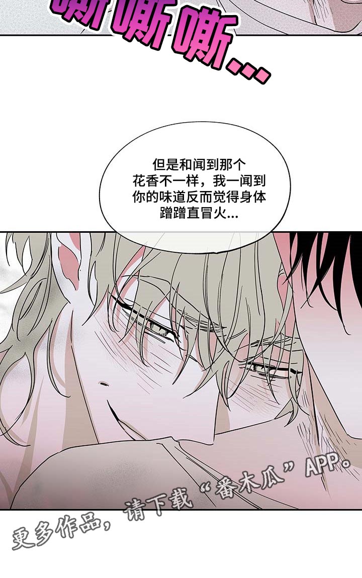 第18章：花香19